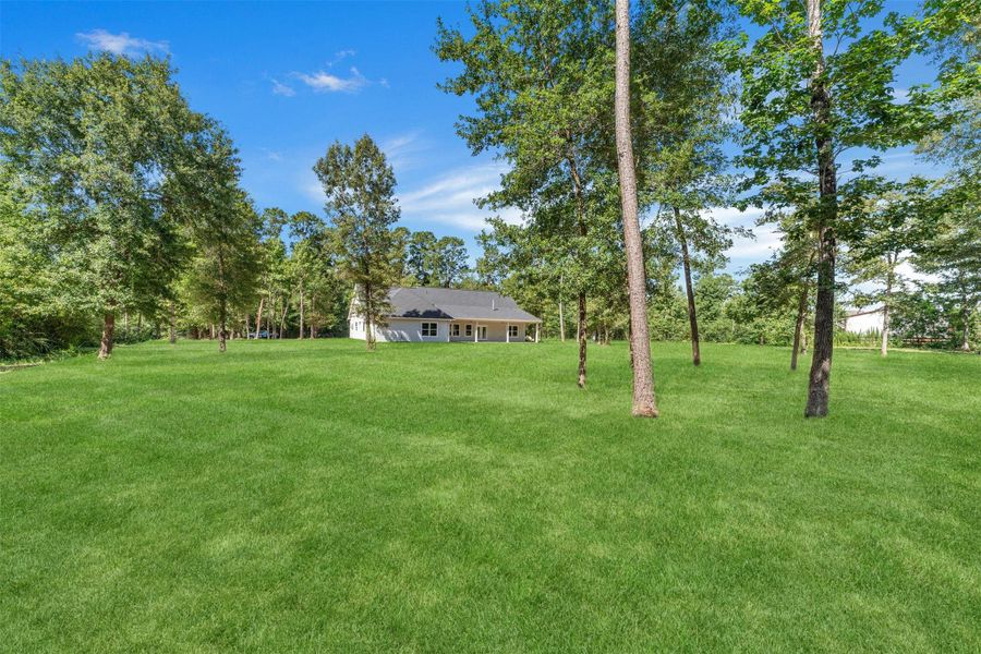 Natural landscape and outdoor views near  in New Waverly (Image 39).
