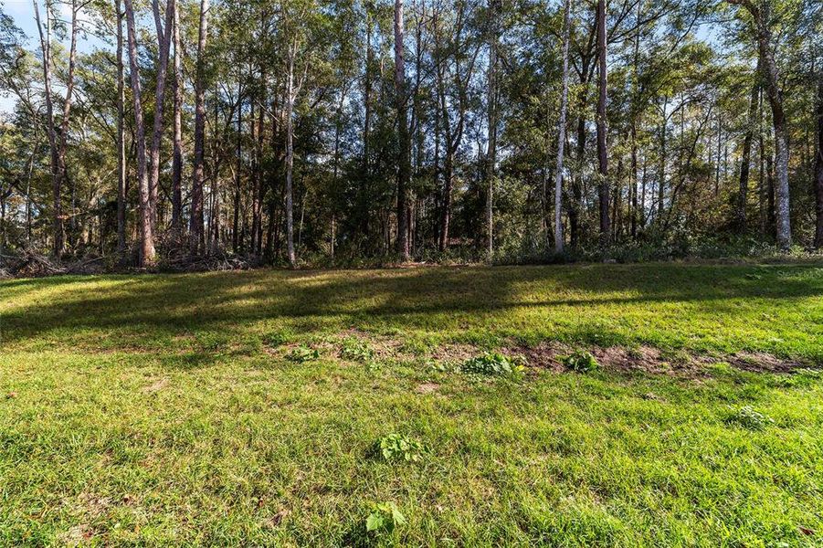 Natural landscape and outdoor views near  in Ocala (Image 42).