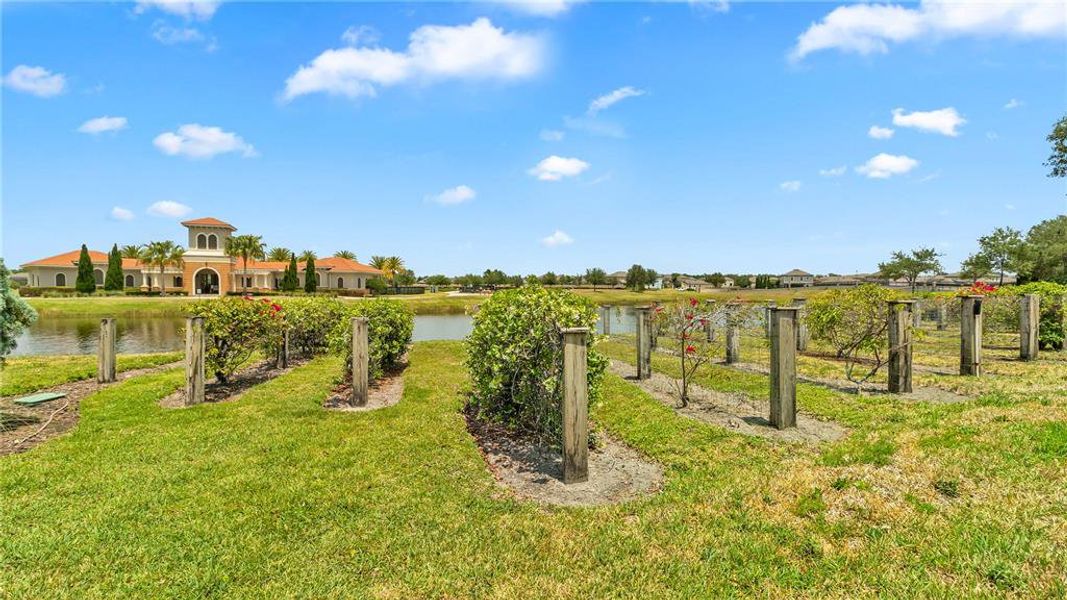 Natural landscape and outdoor views near Sereno in Wimauma (Image 41).