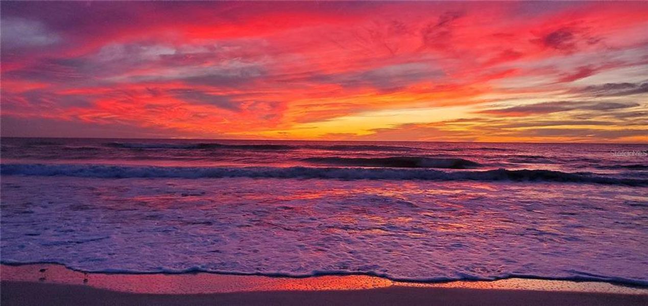 Natural landscape and outdoor views near  in Longboat Key (Image 3).