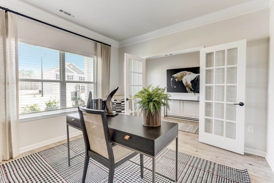 The McGinnis - Study