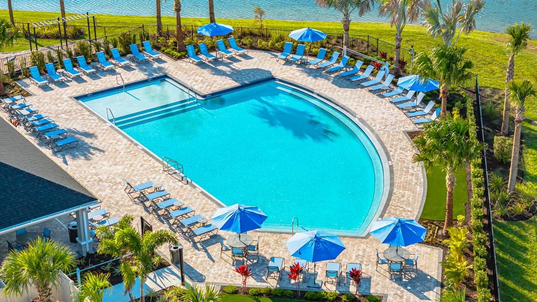 Community amenities in Indigo Creek, Apollo Beach (Image 4).