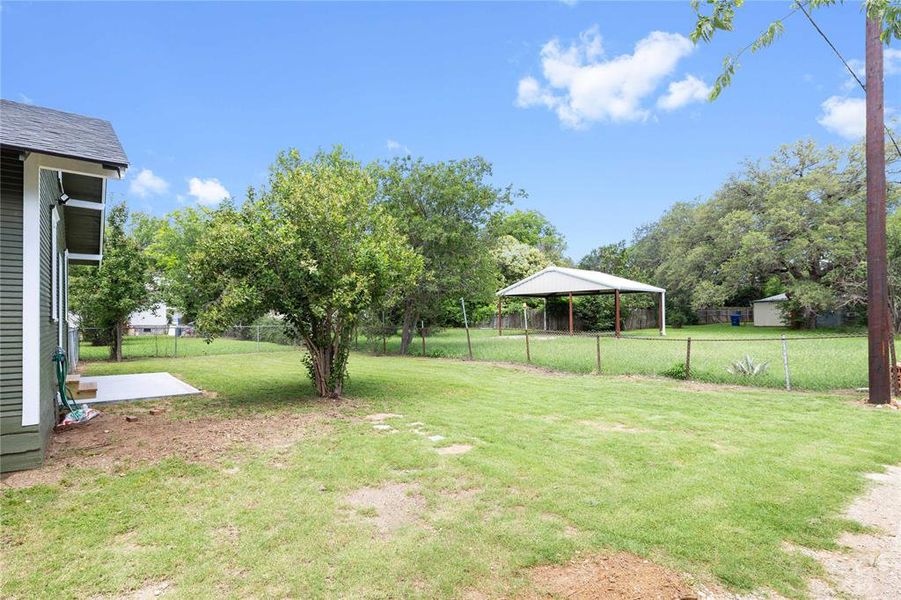 Back yard