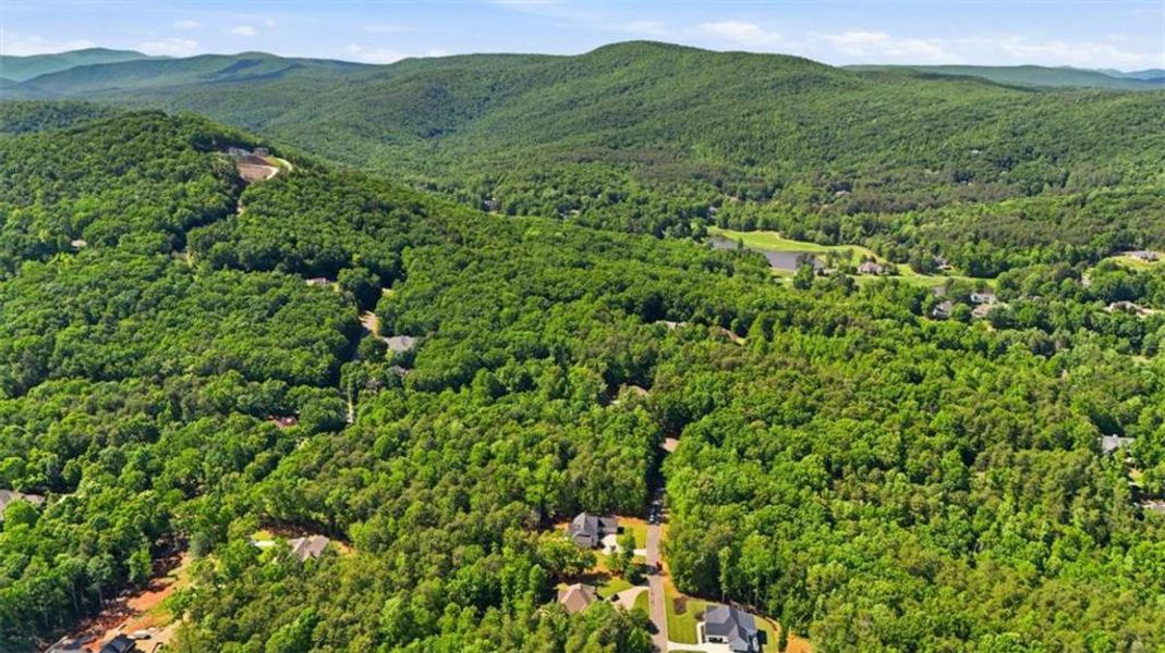 Natural landscape and outdoor views near  in Clarkesville (Image 64).
