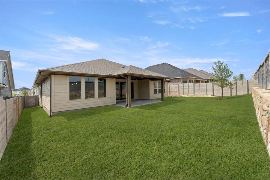 27. 2900 Barbary - Back (2)