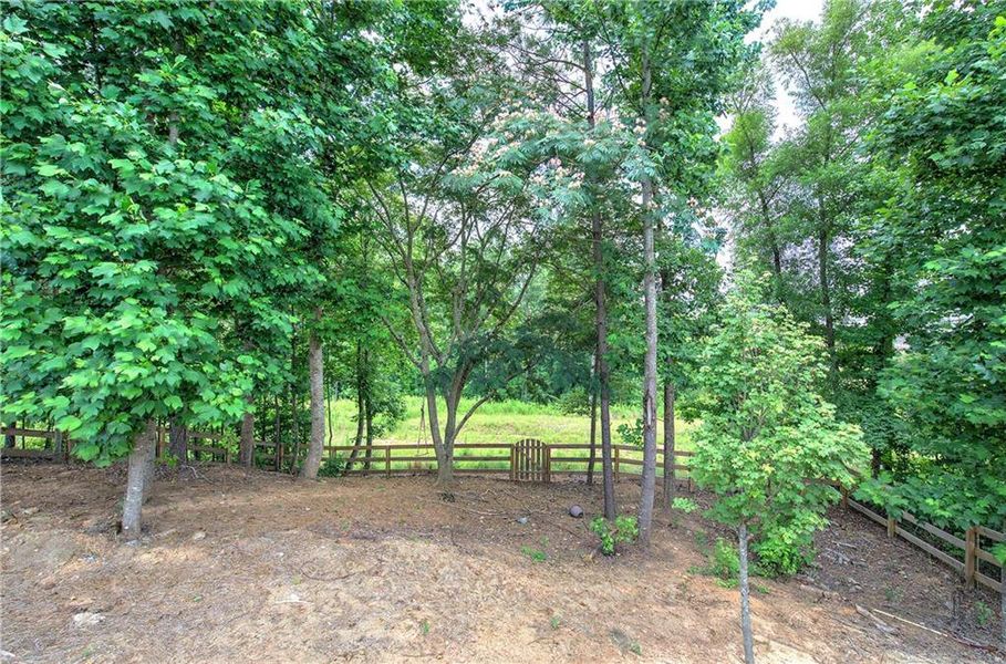 Natural landscape and outdoor views near in Cartersville (Image 43). Natural landscape and outdoor views near in Cartersville (Image 43).
