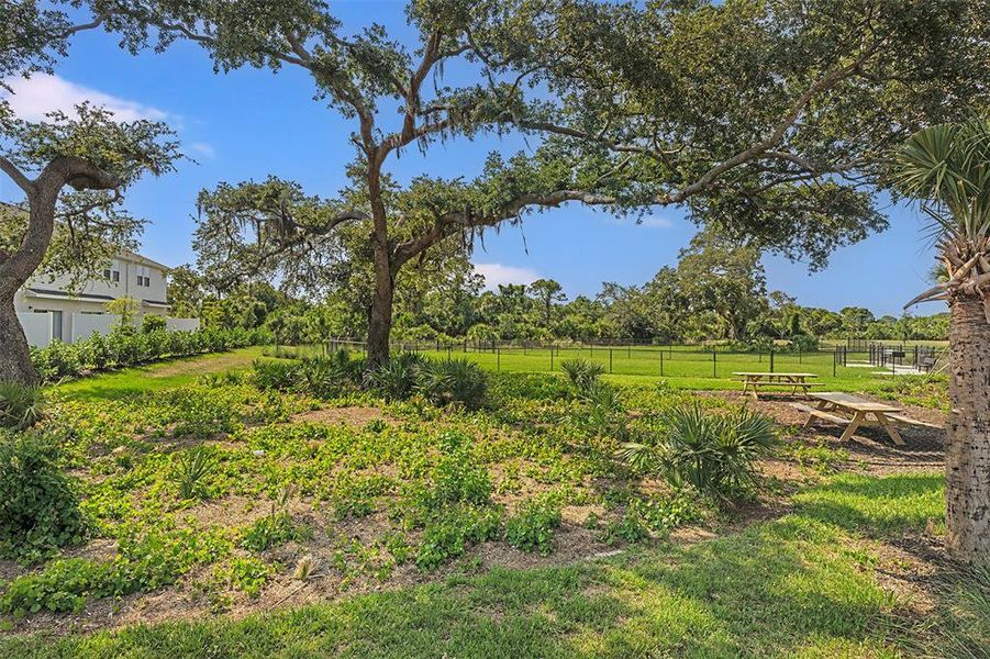 Natural landscape and outdoor views near Vinterra Townhomes in Nokomis (Image 50).