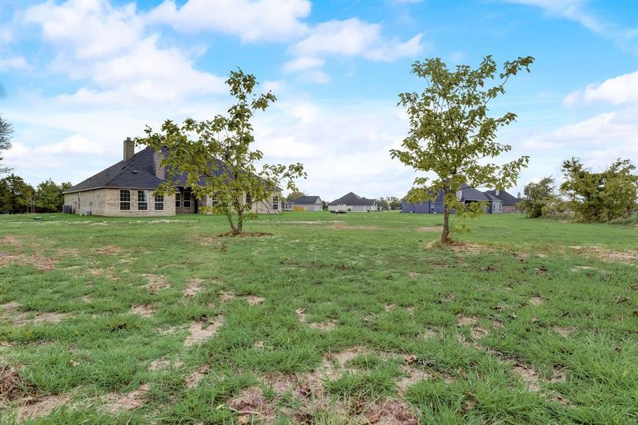View of yard View of yard