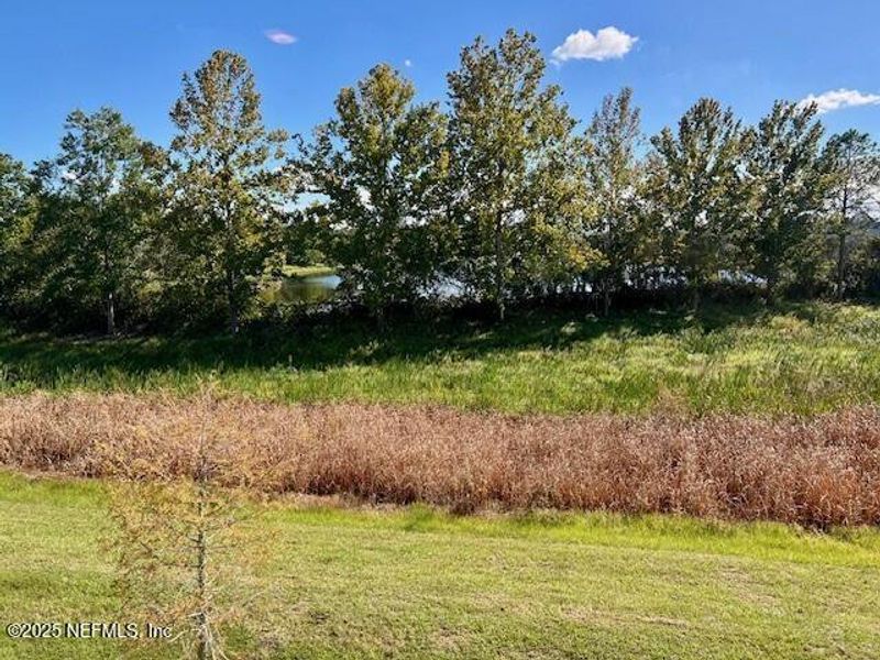 Natural landscape and outdoor views near Corsair in Middleburg (Image 37).