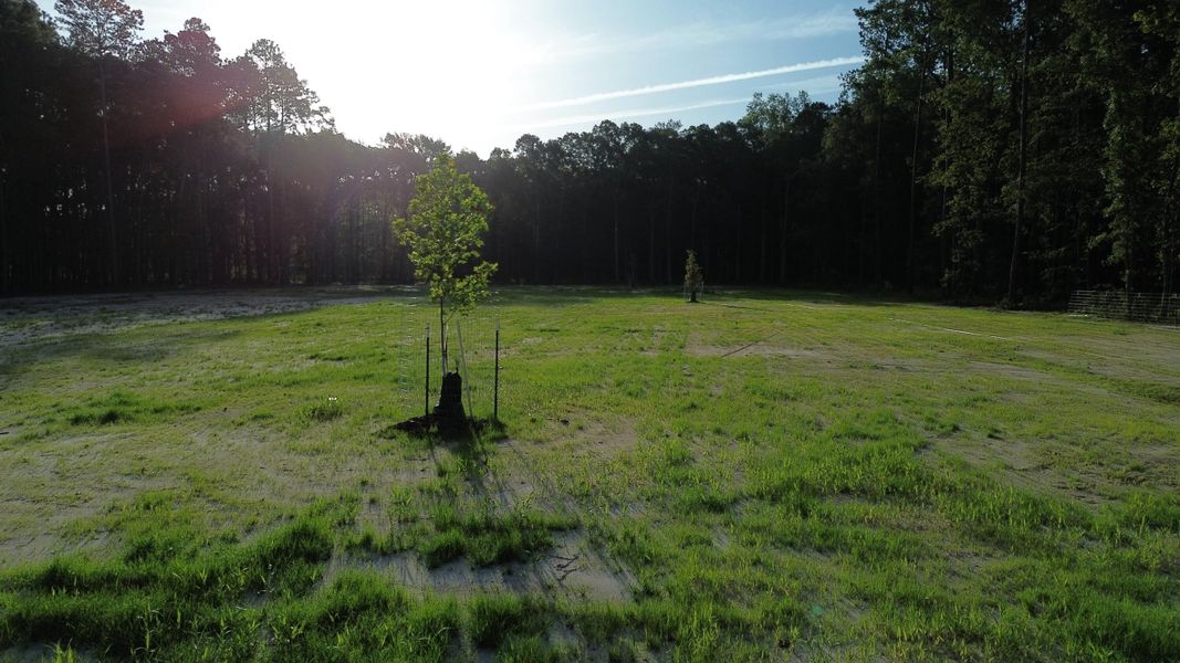 Natural landscape and outdoor views near in Ridgeville (Image 22). Natural landscape and outdoor views near in Ridgeville (Image 22).