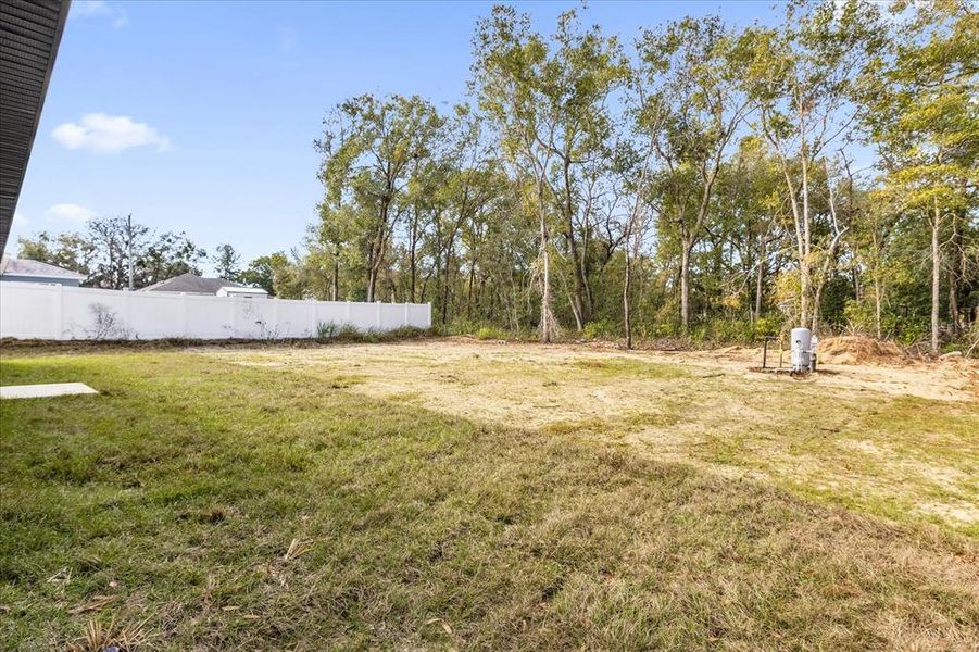 Natural landscape and outdoor views near  in Summerfield (Image 20).