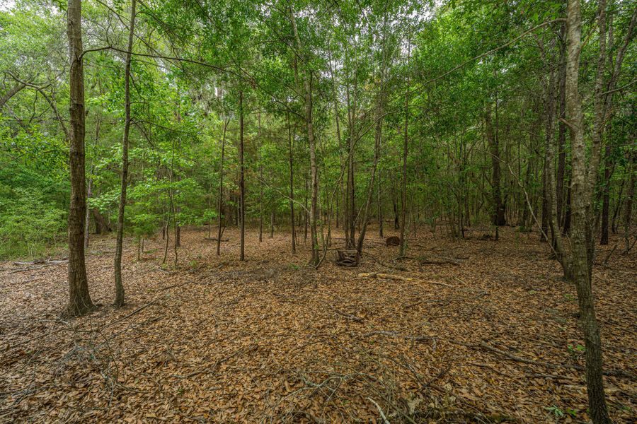 Natural landscape and outdoor views near Sea Island Preserve in Johns Island (Image 94).