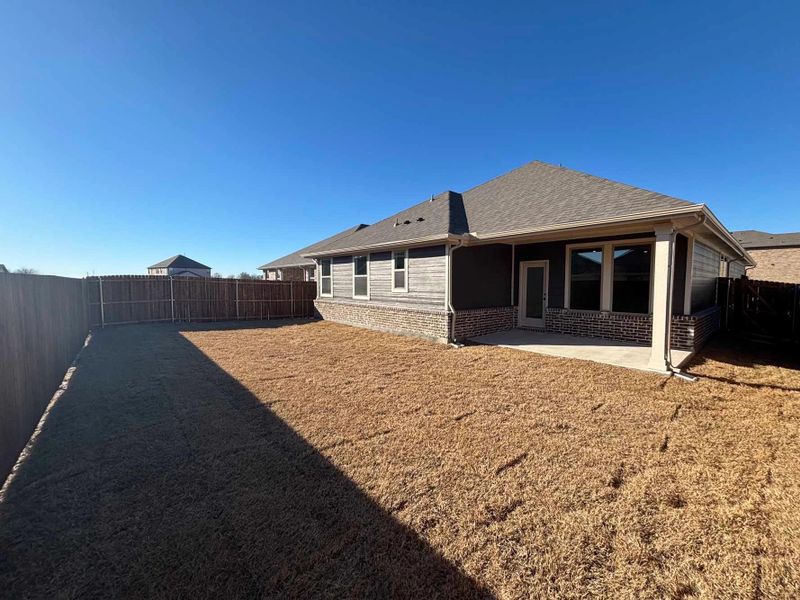 Rear Exterior Design Construction Progress