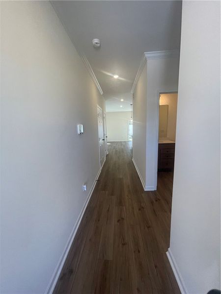 Spacious, unfurnished interior of a new home in Springwood Grove, Central (Image 7).