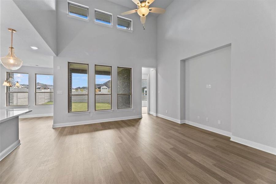 DAL_Painted Tree_Goodlow_4013 Clingsman Way (17)