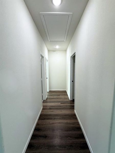 Hall featuring dark wood-type flooring and attic access