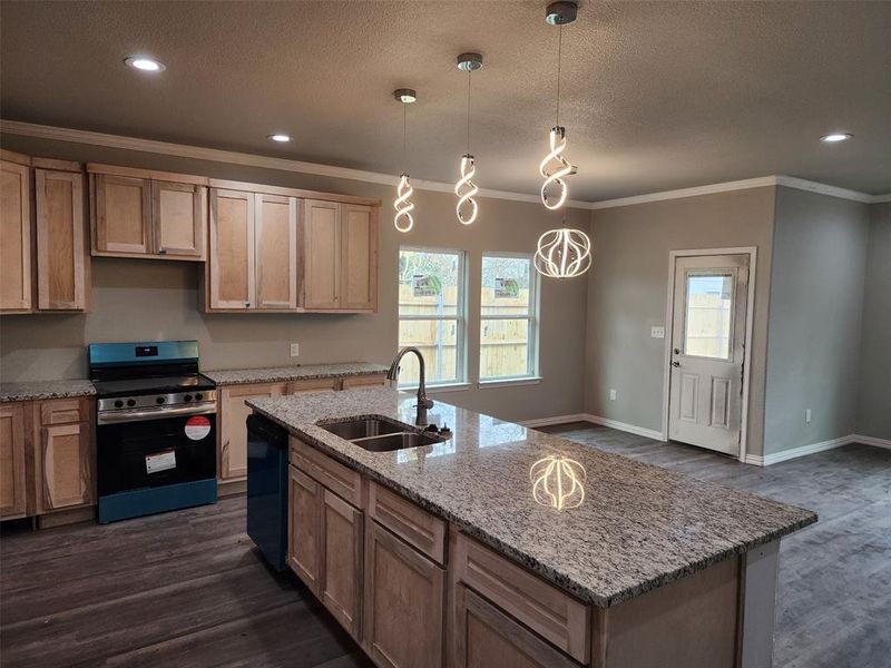 Kitchen featuring dark wood-type flooring, stainless steel range oven, a healthy amount of sunlight, and sink