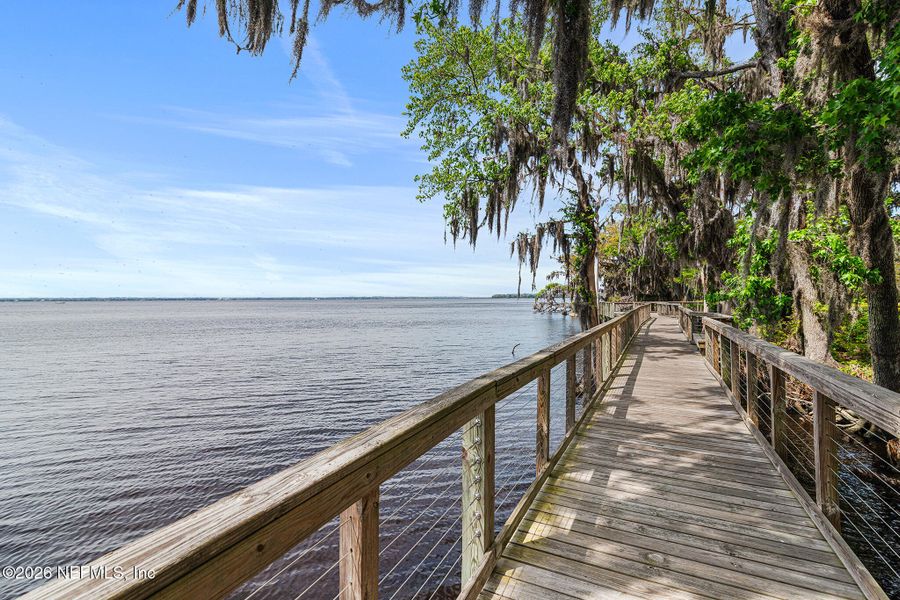 Natural landscape and outdoor views near  in St. Johns (Image 69).