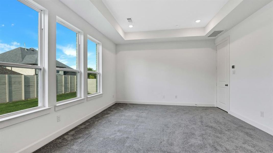 Carpeted empty room with a tray ceiling