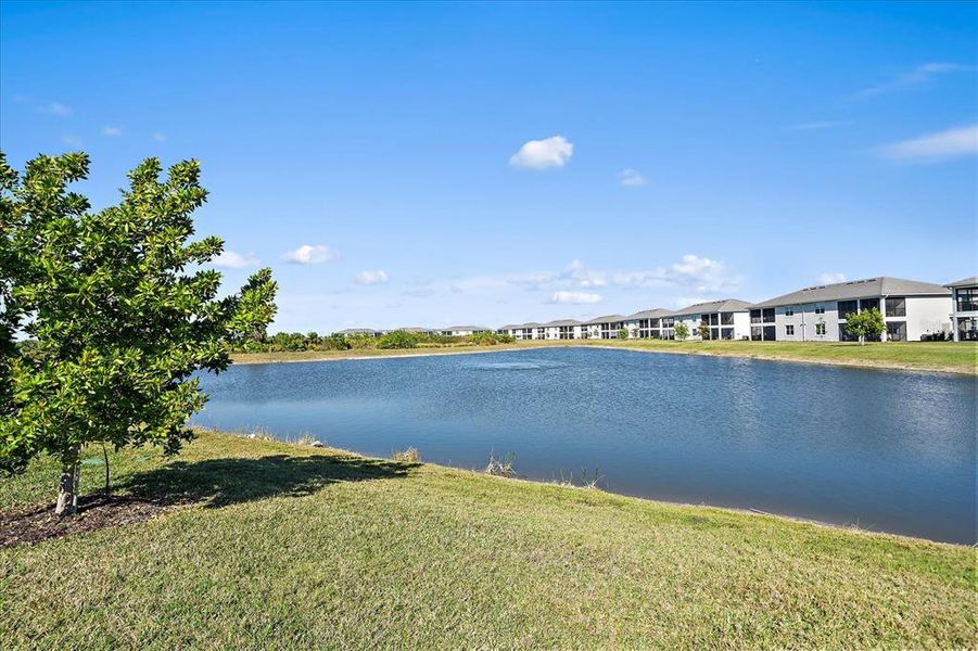 Image 15 of a home in Wellen Park Golf & Country Club.