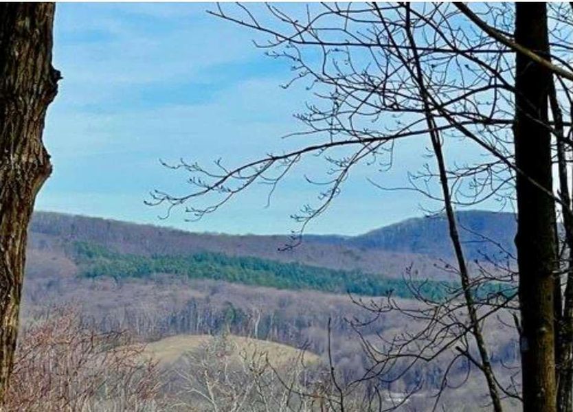 Natural landscape and outdoor views near  in Ellijay (Image 28).