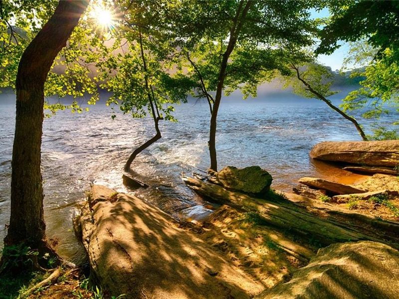 Natural landscape and outdoor views near The Village at Shallowford in Kennesaw (Image 28).