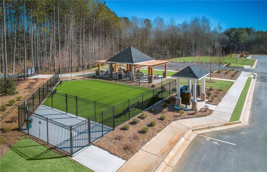 Community amenities in Adler Springs, Powder Springs (Image 9).