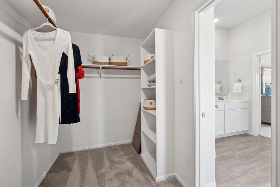 Owner's Closet