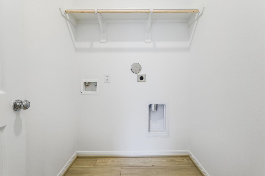 21834 Red Lantana ~ Ready Now 21834 Red Lantana ~ Ready Now