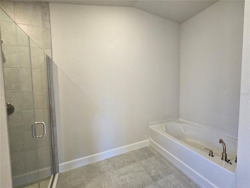 Spacious, unfurnished interior of a new home in Twisted Oaks, Beverly Hills (Image 27). Spacious, unfurnished interior of a new home in Twisted Oaks, Beverly Hills (Image 27).