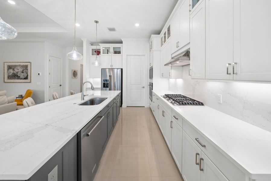 72-web-or-mls-PET06064