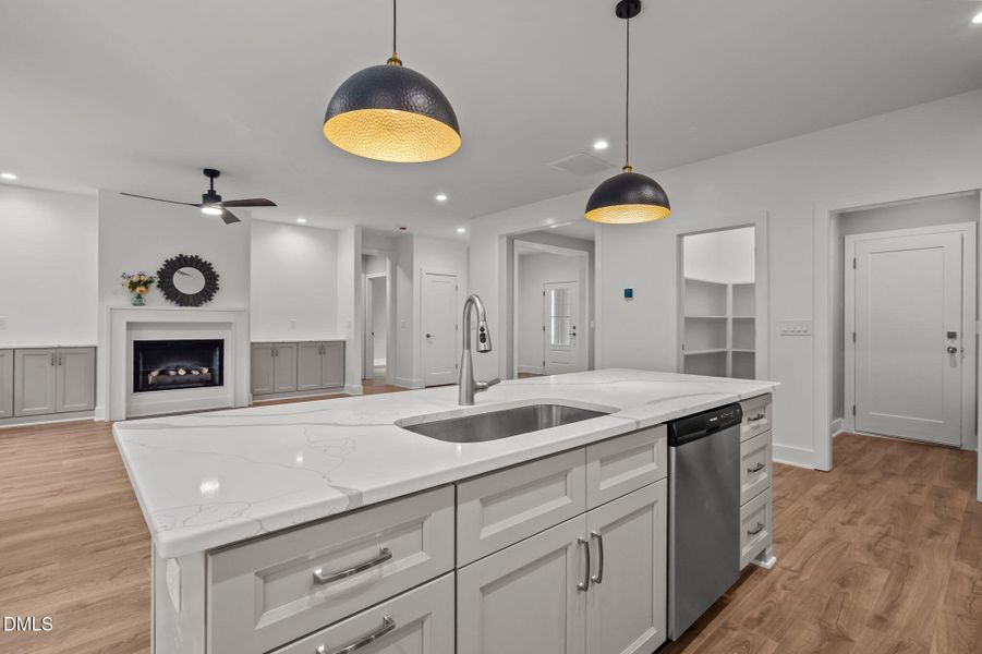 29-web-or-mls-P1086970