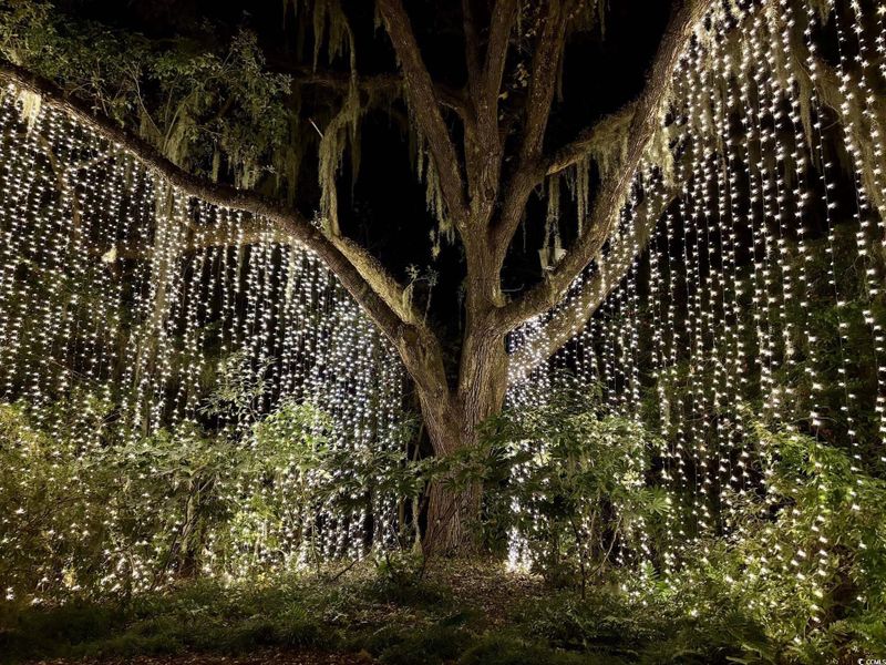 Natural landscape and outdoor views near Westfield in Conway (Image 29).