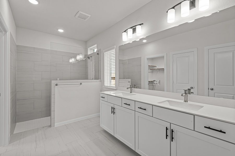 The Bailtimore - Owner's Bath