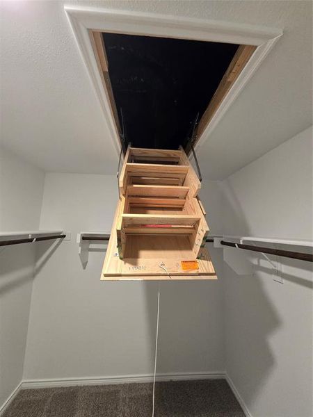 Attic Access