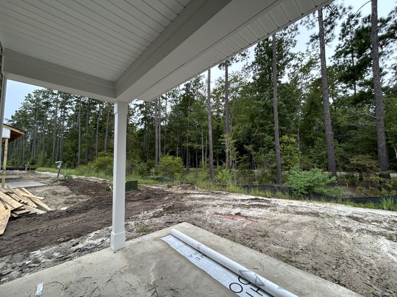 Image 30 of a home in Hammock Walk at Nexton.