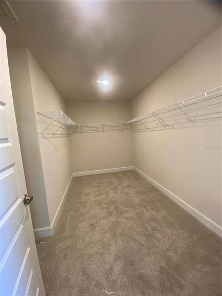 Spacious, unfurnished interior of a new home in Harmony Central, Harmony (Image 14). Spacious, unfurnished interior of a new home in Harmony Central, Harmony (Image 14).