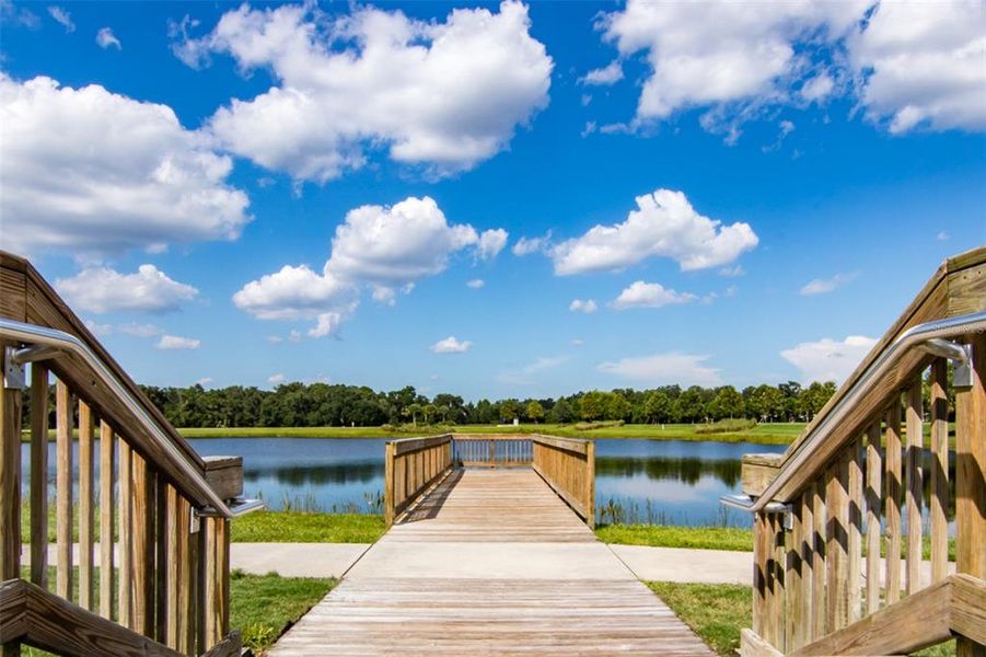Natural landscape and outdoor views near Waterset Garden Series in Apollo Beach (Image 68).