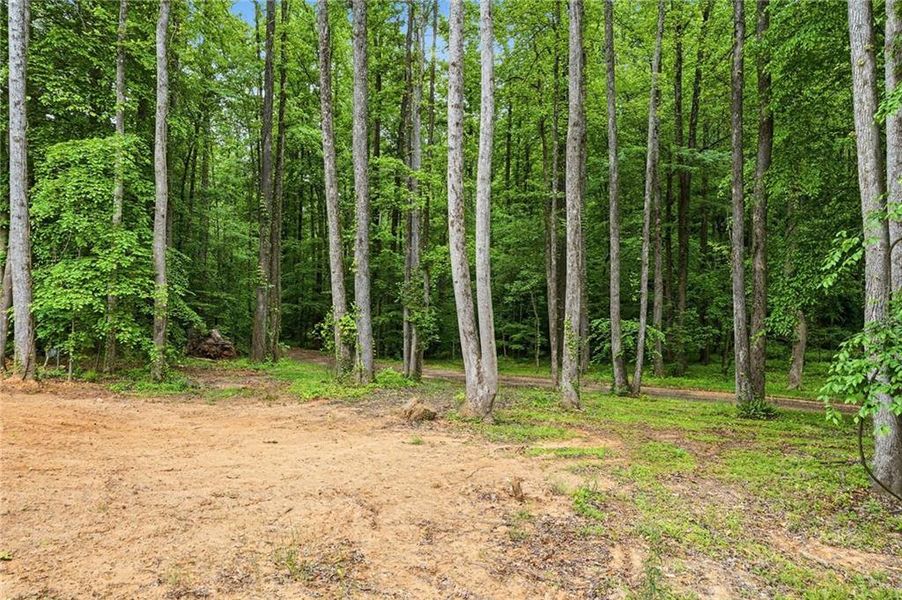 Natural landscape and outdoor views near  in Ball Ground (Image 44).