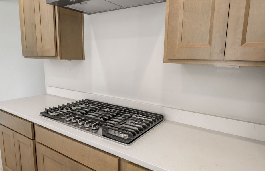 Close-up of interior finishes inside a home in Artisan at Asante, Surprise (Image 13).