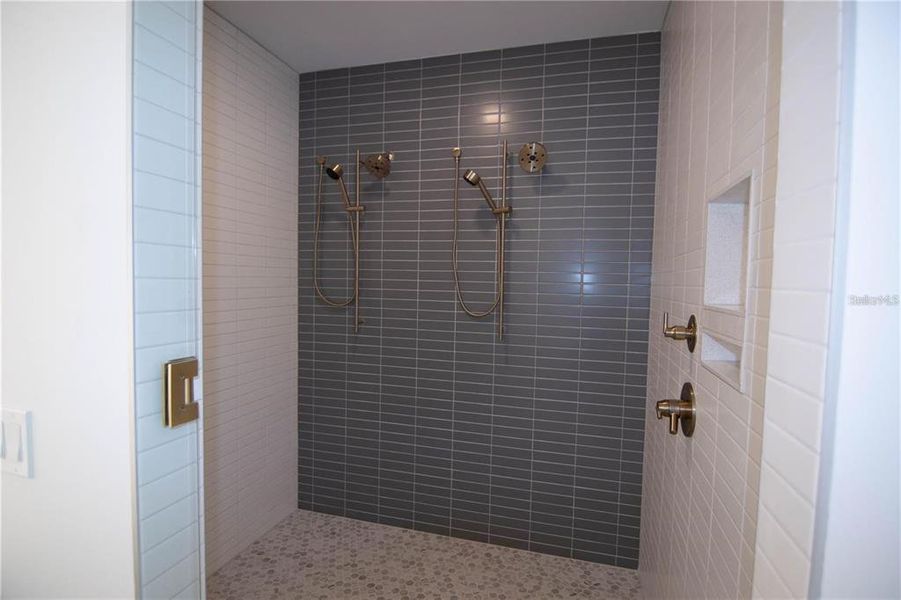 Primary Double Shower