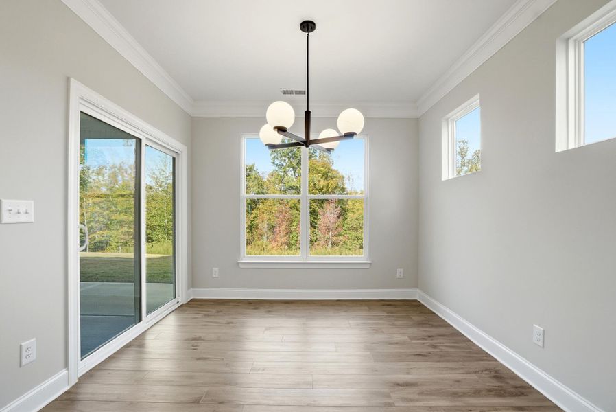 Spacious, unfurnished interior of a new home in The Meadows at Laurelbrook, Sherrills Ford (Image 27).