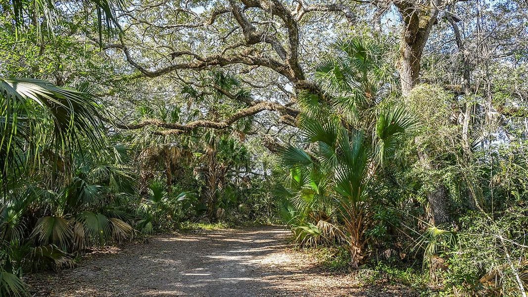 Natural landscape and outdoor views near Colbert Landings in Palm Coast (Image 81).