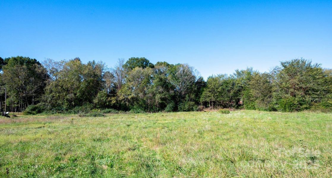 Established tree line at rear