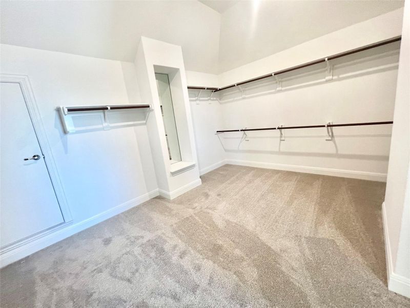 Walk in closet featuring carpet