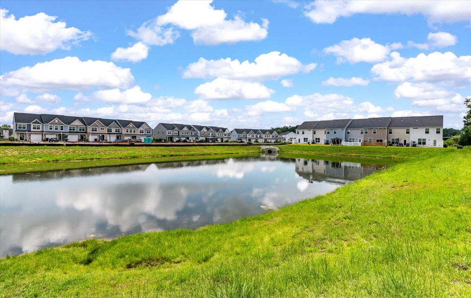 Natural landscape and outdoor views near The Landings at Montague in Goose Creek (Image 19).