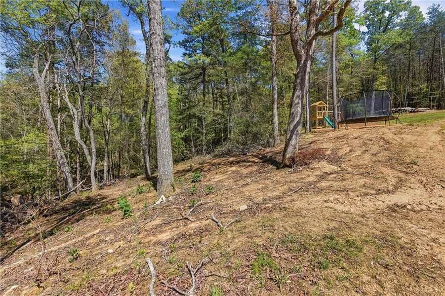 Natural landscape and outdoor views near  in Demorest (Image 51).