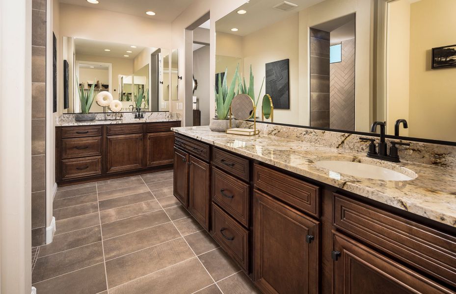 Luxurious Owner's Bath Luxurious Owner's Bath