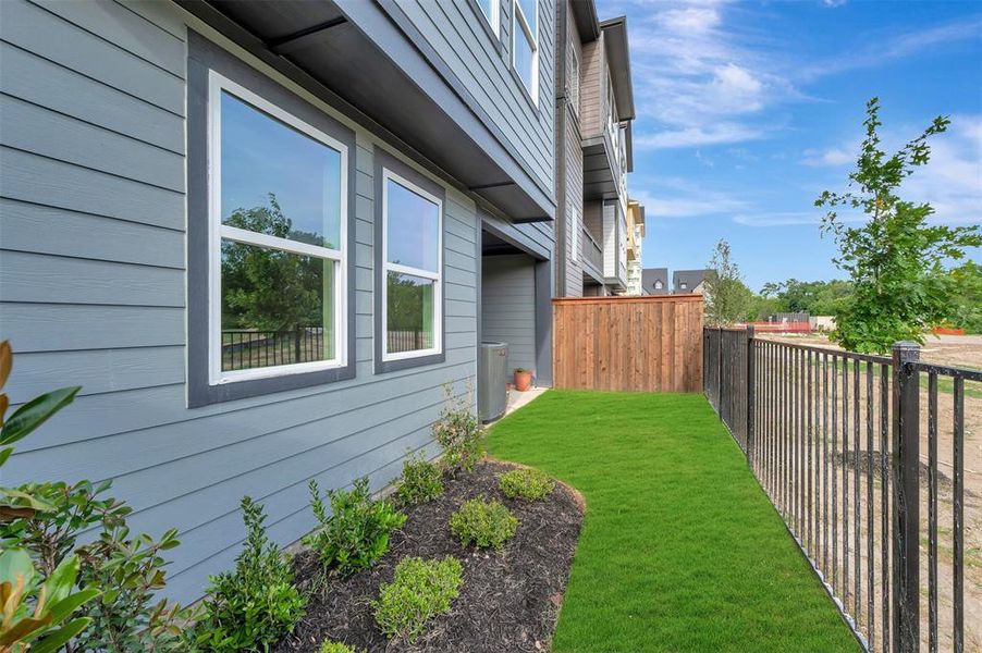 Manicured green lawn with a black metal fence and privacy wood fencing Manicured green lawn with a black metal fence and privacy wood fencing