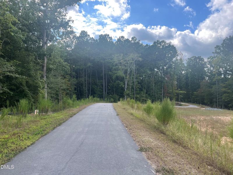 Community Jogging Path/Walking Trails